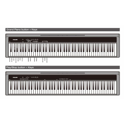 NUX NPK10 SMART DIGITAL 88 KEYS PIANO KEYBOARD (WITH SMART STAND) - BLACK